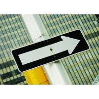 What's your Vision for the Future What's your Vision for the Future